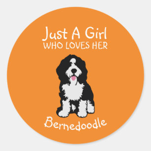 Nur ein Mädchen, das ihr Bernedoodle Liebe Runder Aufkleber