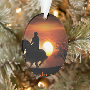 nur ein Mädchen, das Pferde Lieben Ornament