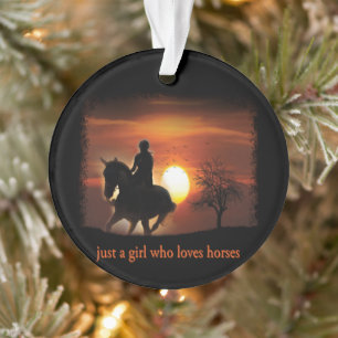 nur ein Mädchen, das Pferde Lieben Ornament