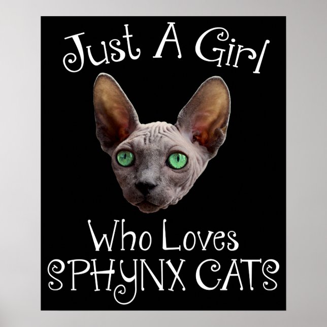 Nur ein Mädchen, das Sphynx-Katzen Liebe Poster (Vorne)