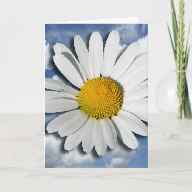 Nur ein Marguerite Blossom + Ihr Text und Ihre Ide Karte (Vorderseite)