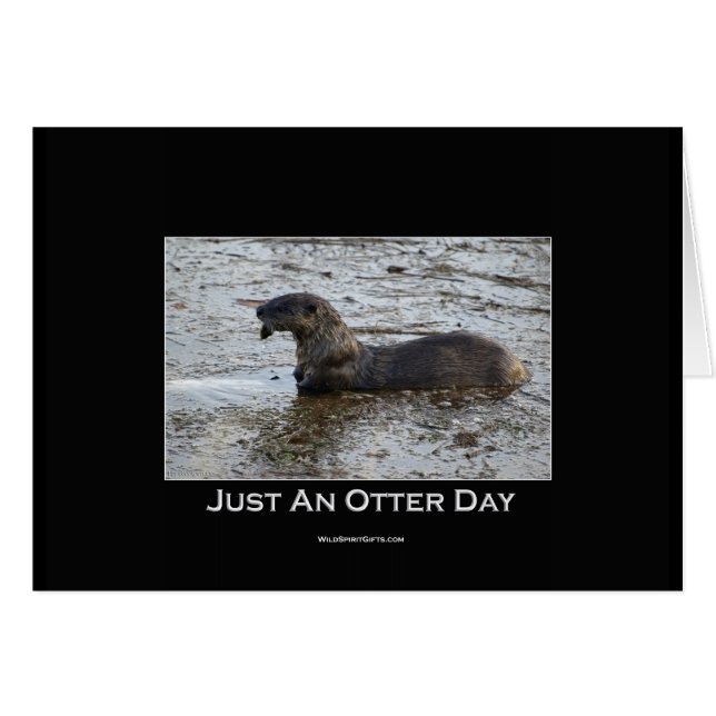 Nur ein Otter Day Geschenke (Vorderseite (Horizontal))