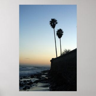 Nur ein paar Palmen Poster