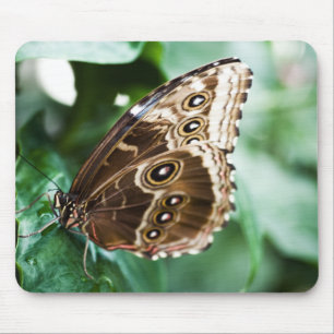 Nur ein Peak Mousepad