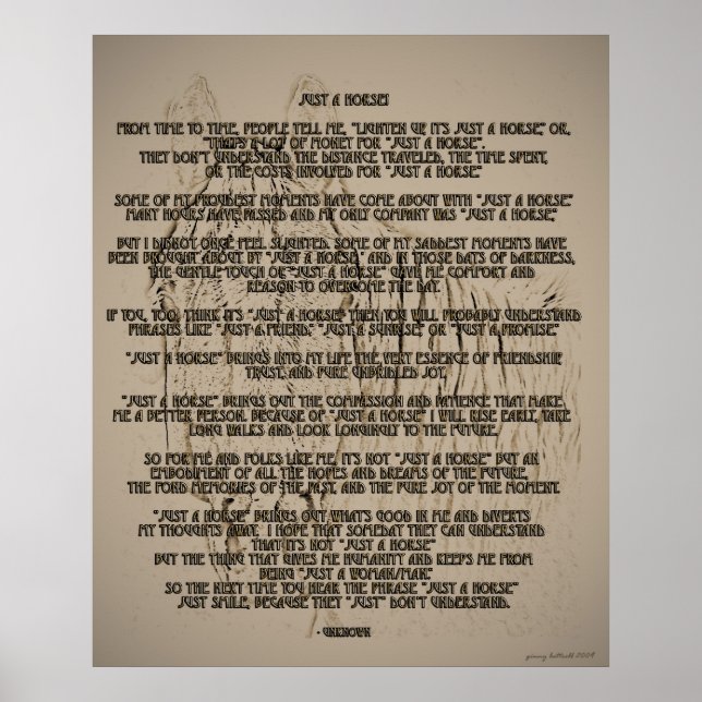 Nur ein Pferd Poster (Vorne)