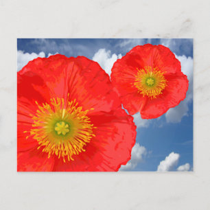 Nur ein Poppy Blossom + Ihr Text & Ideen Postkarte