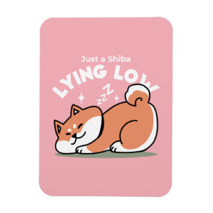 Nur ein Shiba, der niedrig fliegt: Niedliches Shib Magnet