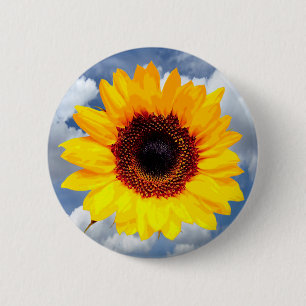 Nur ein Sonnenblumen-Blossom + Ihr Text und Ihre I Button