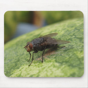 Nur ein verrücktes Bild Mousepad