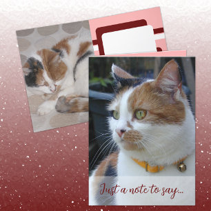 Nur eine Anmerkung zu sagen, 3 Katzenjungen Fotos Karte