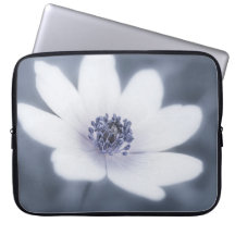 Nur eine kleine Wildblume