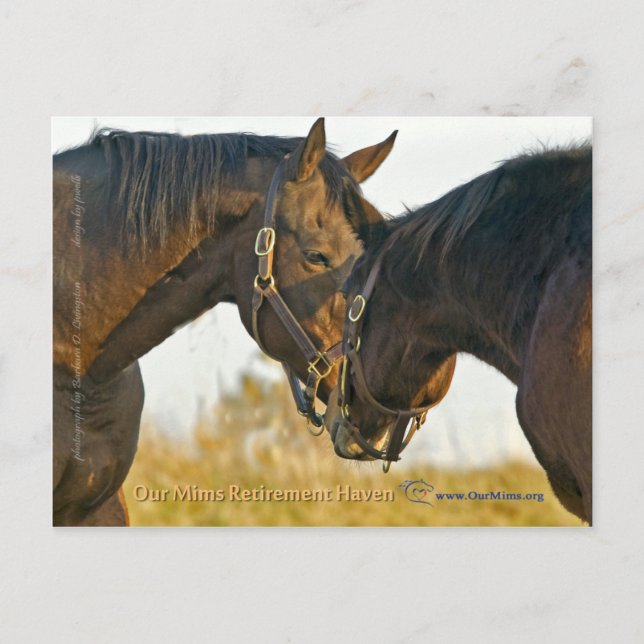 Nur eine Touch Postkarte (Vorderseite)