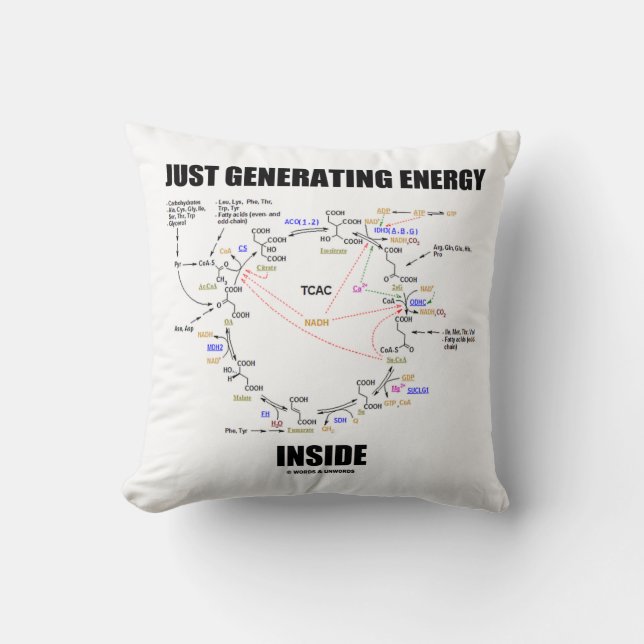 Nur Energie innerhalb des Krebs-Spaßes erzeugen Kissen (Vorderseite)