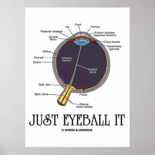 Nur Eyeball It (Augenanatomie Annäherung Sprichwor Poster