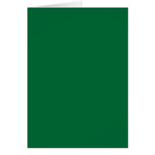NUR FARBE - dunkelgrün