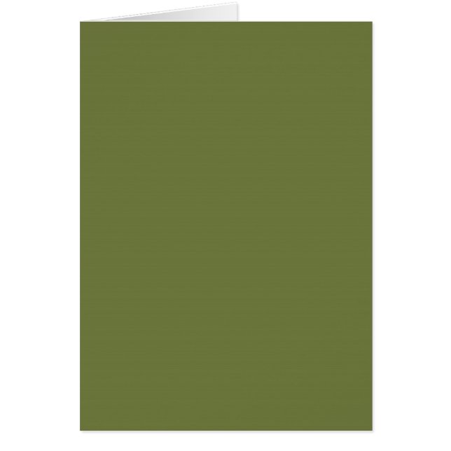 NUR FARBE - olivgrün (Vorne)
