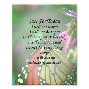 Nur für heute Monarch Butterfly Inspiration Fotodruck
