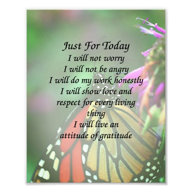 Nur für heute Monarch Butterfly Inspiration Fotodruck (Vorne)