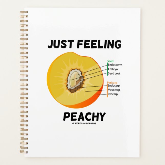 Nur Gefühl Peachy Peach Anatomy Fruit Geek Spaß Planer (Vorderseite)
