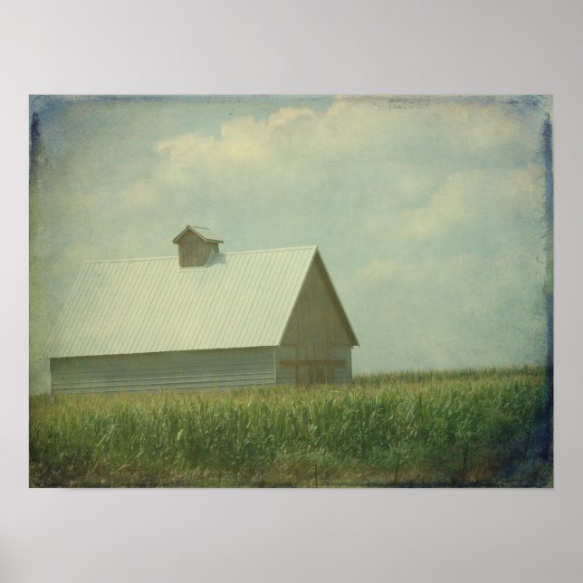 Nur Getreide für Unternehmen Poster (Vorne)