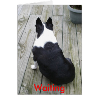 Nur Gewartet, Gewartet