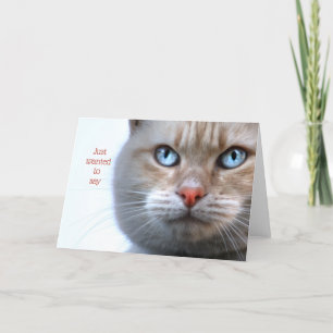 Nur gewollt zu sagen (Katzengesicht) Dankeskarte