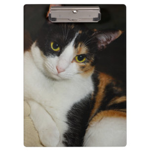 Nur herumhängen klemmbrett