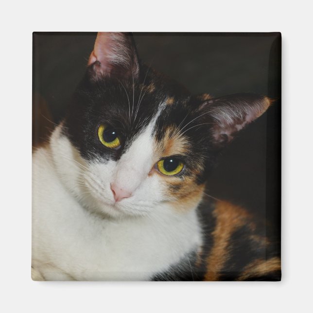 Nur herumhängen magnet (Vorne)