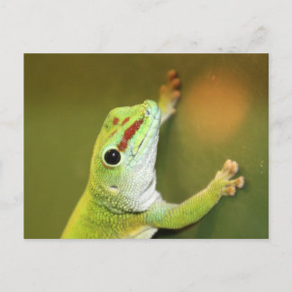 Nur herumhängen postkarte