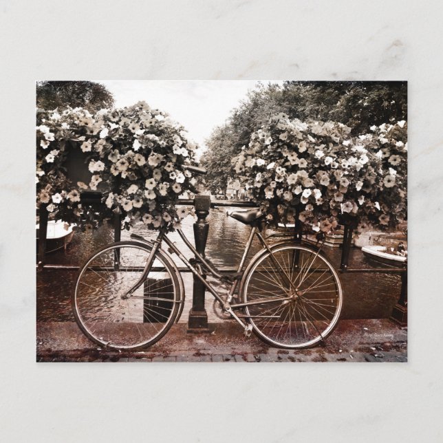 Nur in Amsterdam Postkarte (Vorderseite)