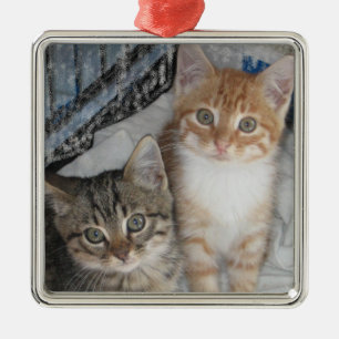 Nur Kätzchen Silbernes Ornament