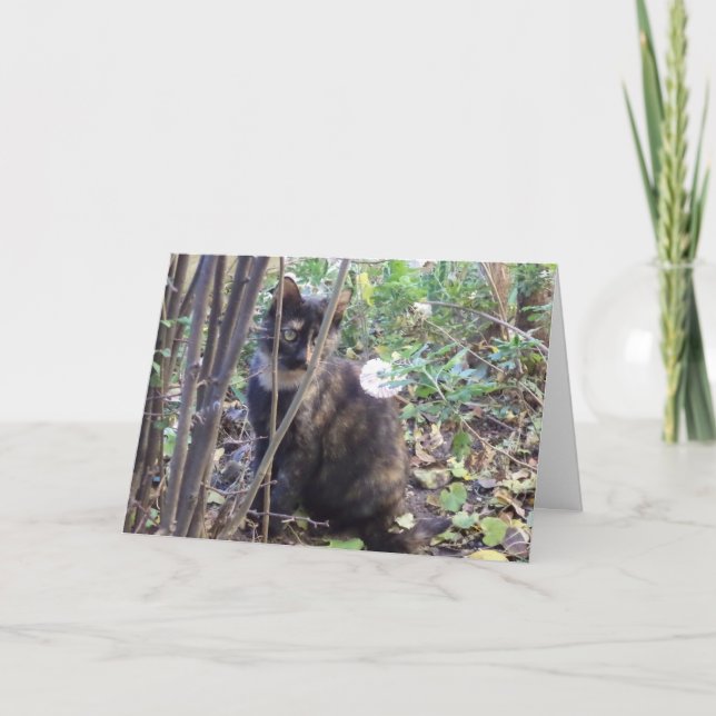 Nur Katzen und Kätzchen - leere Karte (Vorderseite)