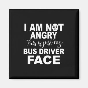 Nur mein Busfahrerstand Magnet