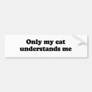 Nur meine Katze versteht mich Autoaufkleber