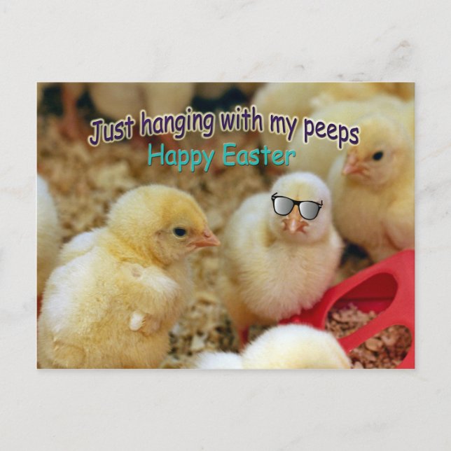 Nur mit meinen Pieps Postkarte (Vorderseite)