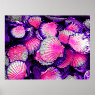 Nur Muscheln Poster