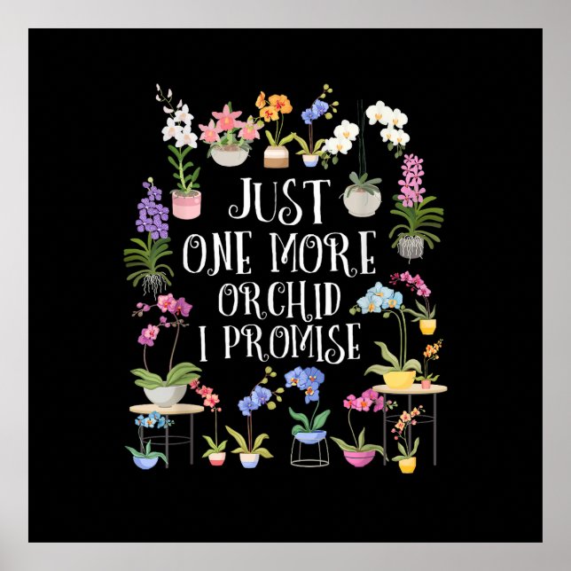 Nur noch eine Orchidee, ich verspreche es Poster (Vorne)