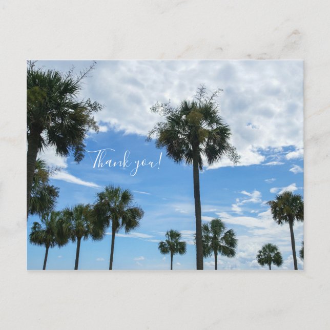 Nur Palmen Vielen Dank Postcard Postkarte (Vorderseite)