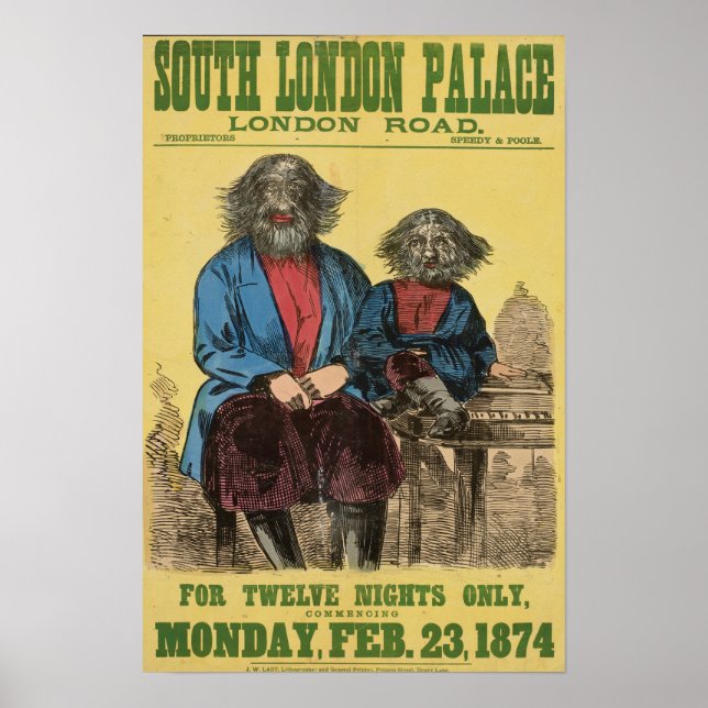 Nur Poster für zwölf Nächte (Vorne)