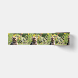 Nur schlichter Liebling Ripsband