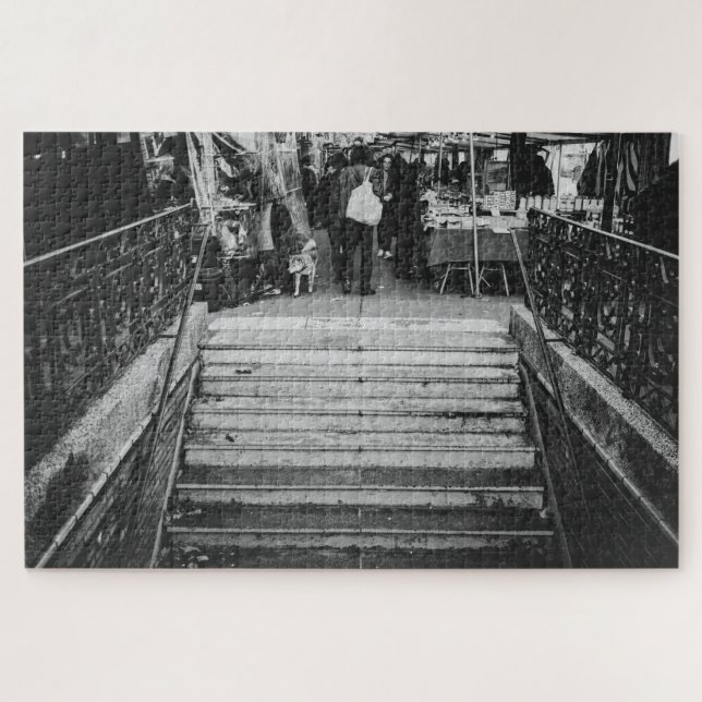 Nur suchen (Horizontal)