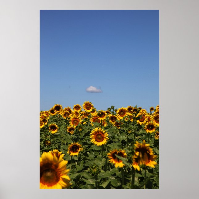 Nur vorbei poster (Vorne)