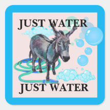 nur Wasser