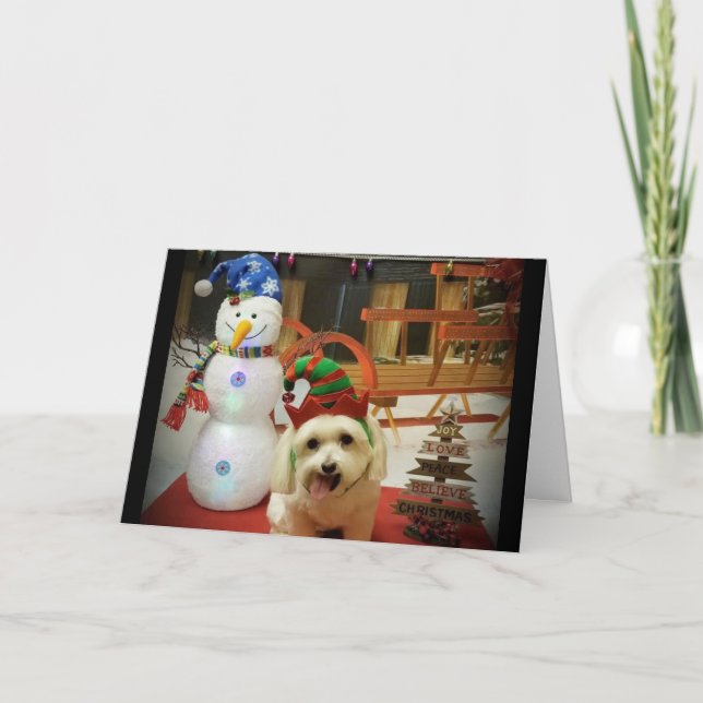 NUR WEIHNACHTEN AN UNSEREN HUNDENVERSORGER (Vorderseite)