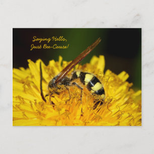 Nur weil Hallo Postkarte