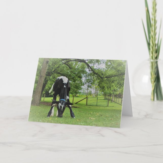 Nur weil karte (Vorderseite)