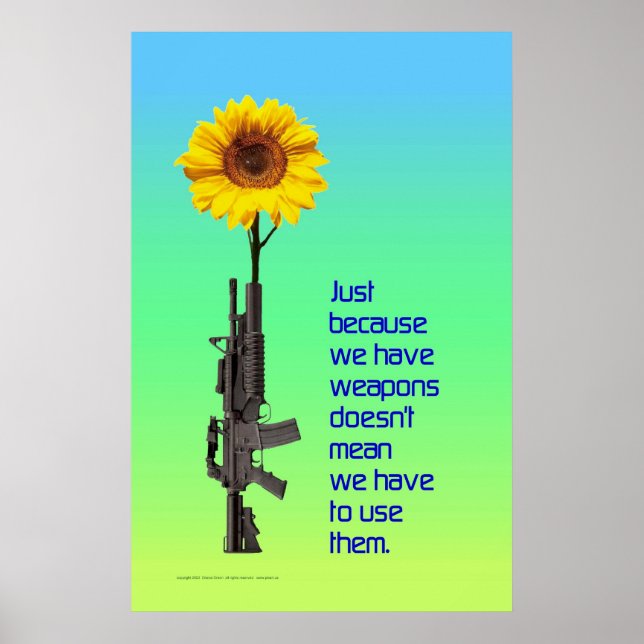 Nur weil wir Waffen haben... Poster (Vorne)