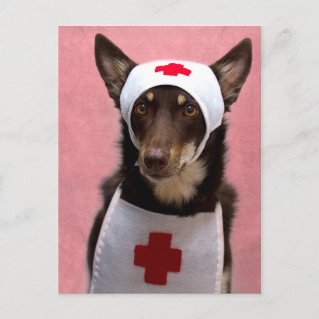 Nurse Ally Postkarte (Vorderseite)