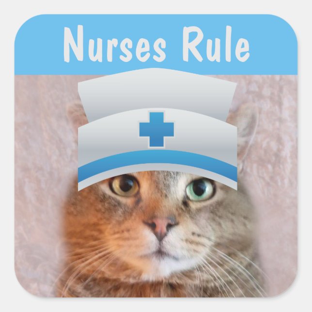 Nurse Rupie Cat Quadratischer Aufkleber (Vorderseite)