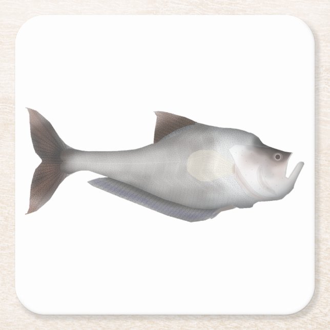 Nurseryfish Rechteckiger Pappuntersetzer (Vorderseite)